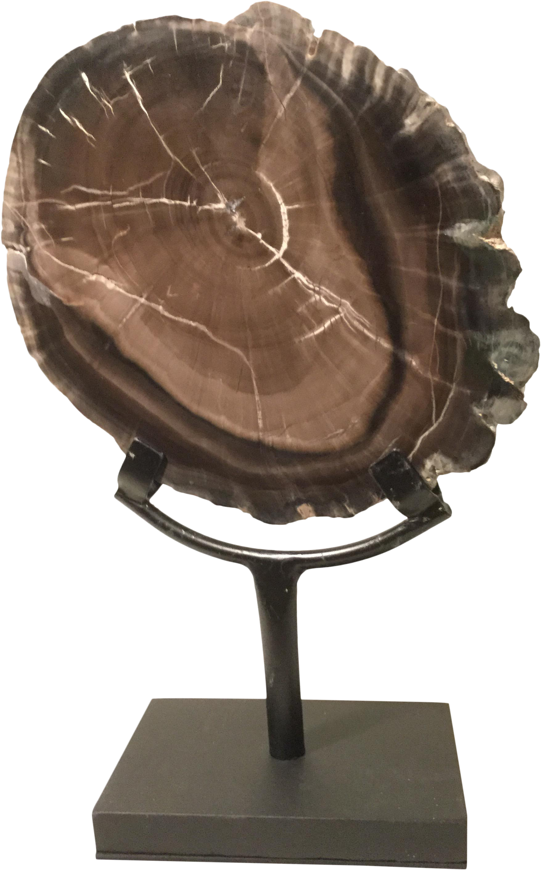 Petrified Wood Slice On Stand On Chairish (1949x3133), Png Download