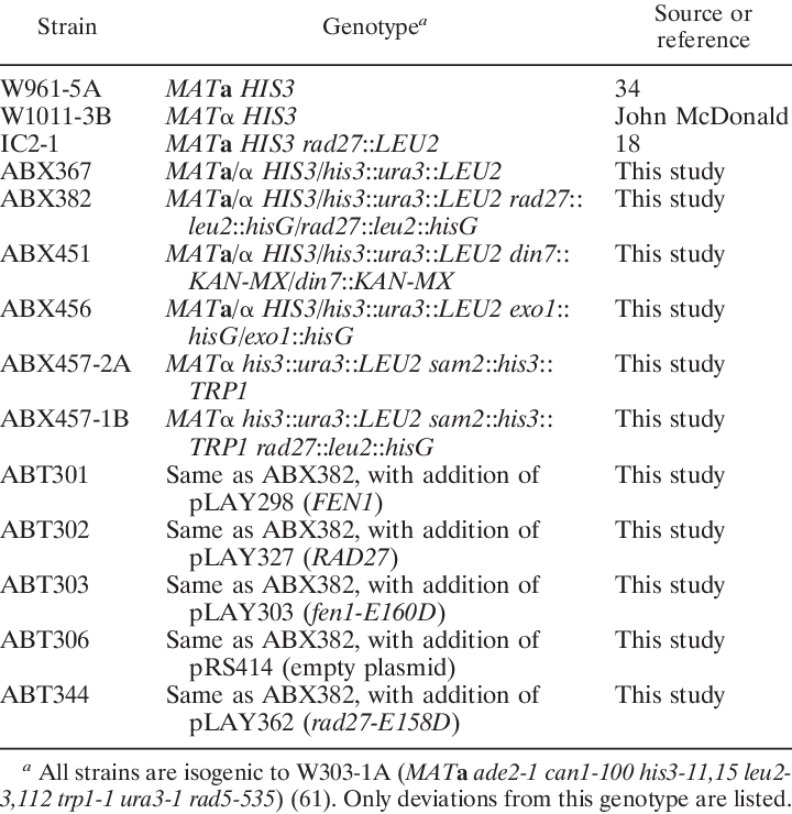 Yeast Strains Used In This Study (720x740), Png Download
