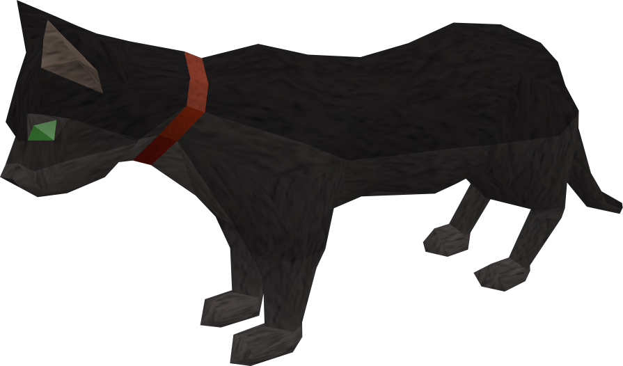 Cat (895x526), Png Download
