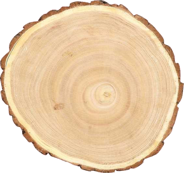 Round Paulownia Wood Slice (600x566), Png Download