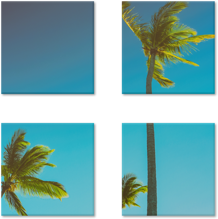 Magneto Coqueiros (800x800), Png Download