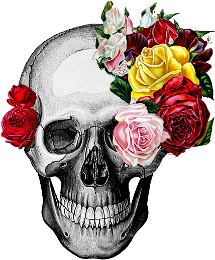 Caveira Em Png (494x669), Png Download