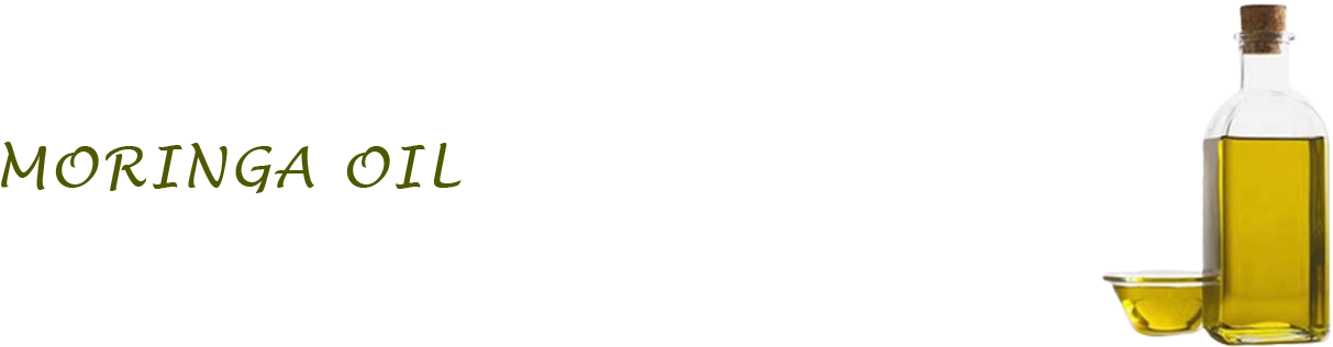 Third Slide (1600x395), Png Download