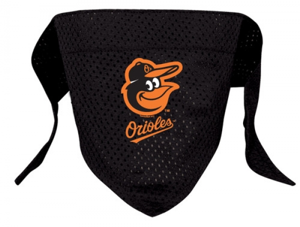 Orioles Png (600x600), Png Download