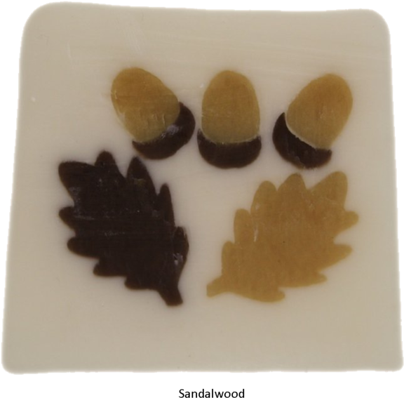 Acorns (620x600), Png Download