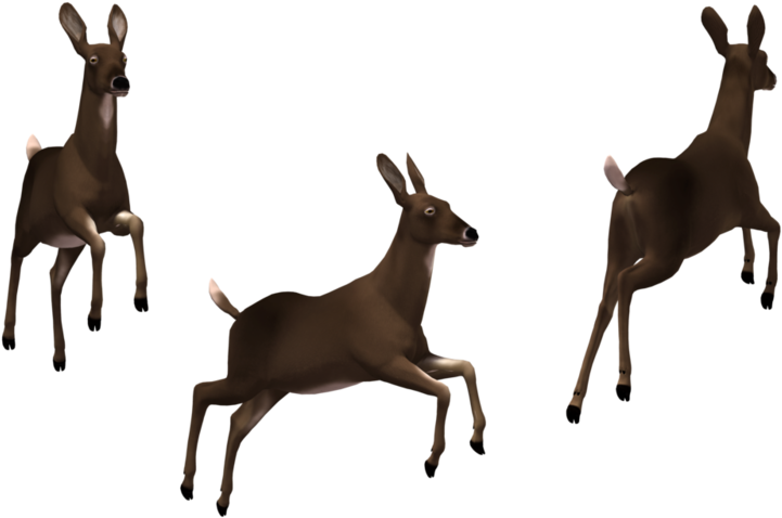 Deer Doe 02 By Free Stock B (800x504), Png Download