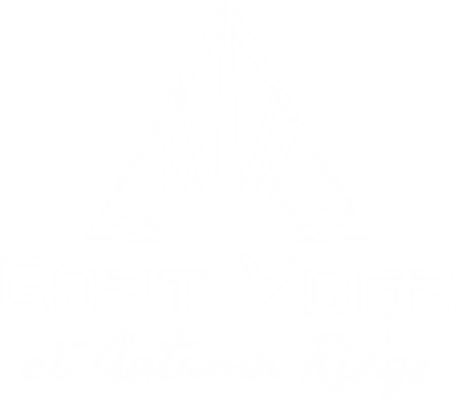 Why Goat Yoga (899x800), Png Download