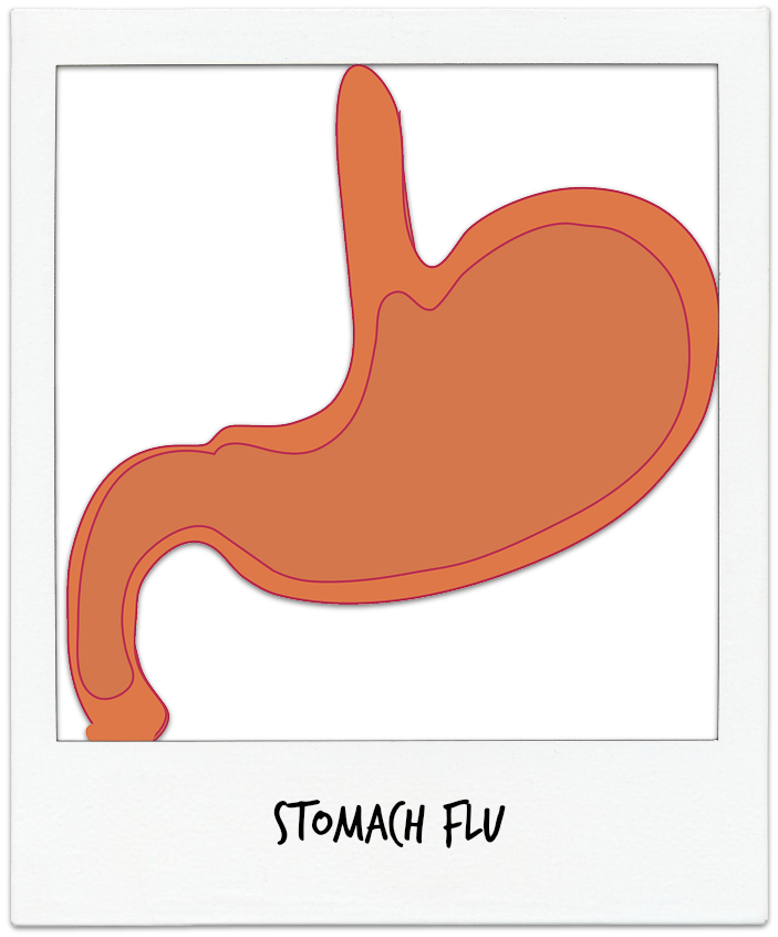 First Med Urgent Care - First Med Urgent Care, Llc (703x846), Png Download