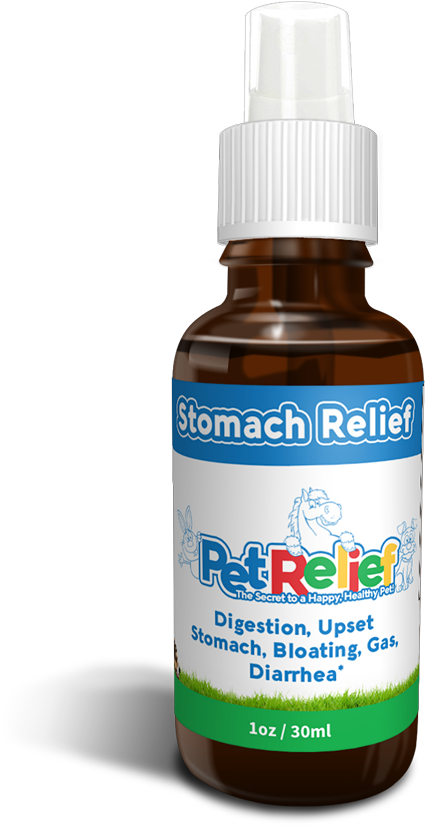 Pet Relief Dog Upset Stomach, Bloat And Gas Relief (748x976), Png Download