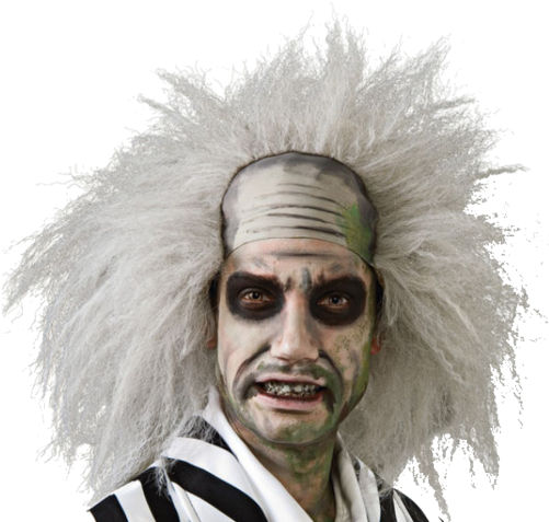 Beetlejuice Wig - Beetlejuice Costume (500x486), Png Download