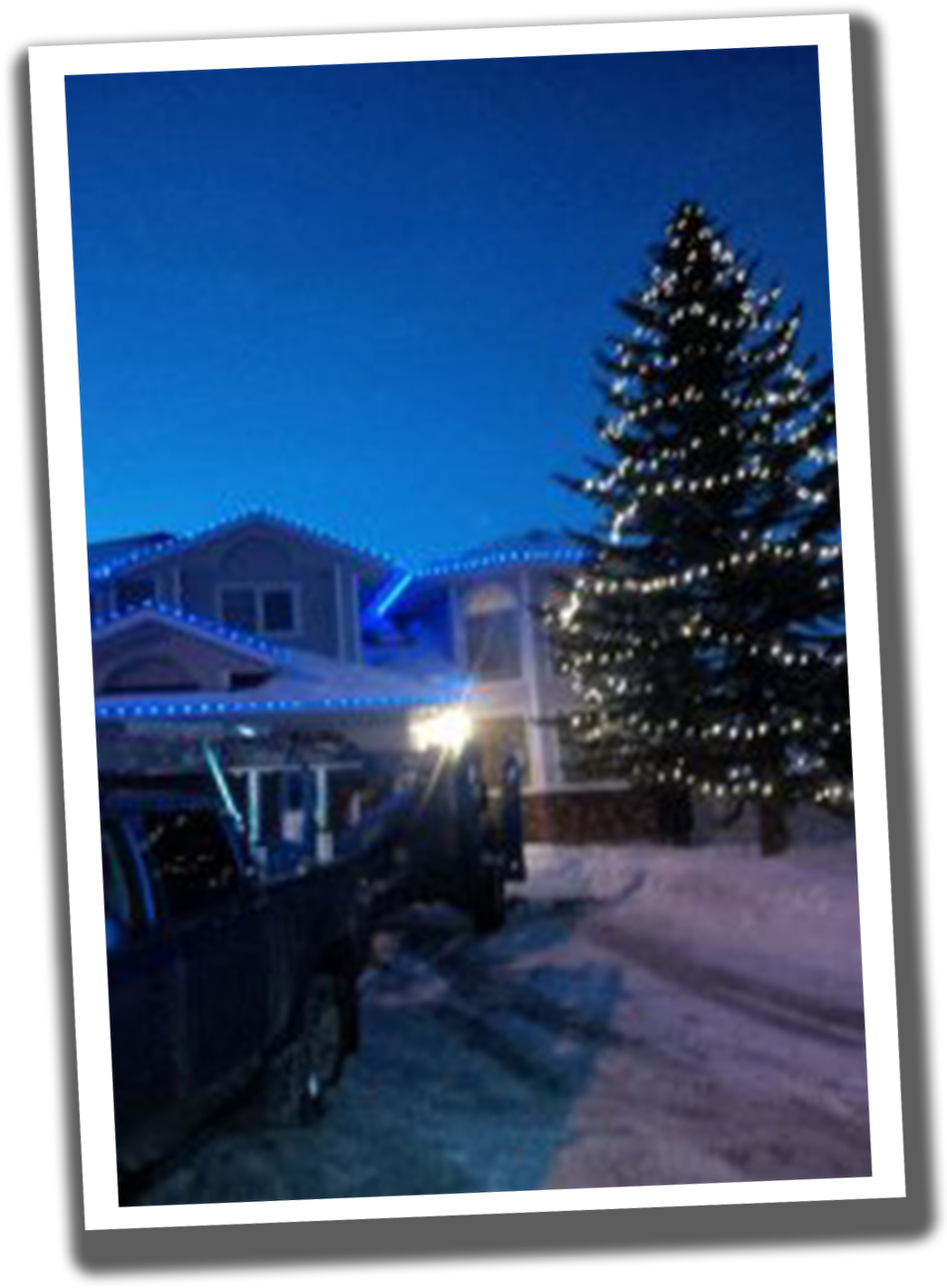 Light Up Your Trees - Christmas Tree (1059x1493), Png Download