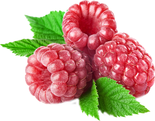 Raspberry Png (500x391), Png Download