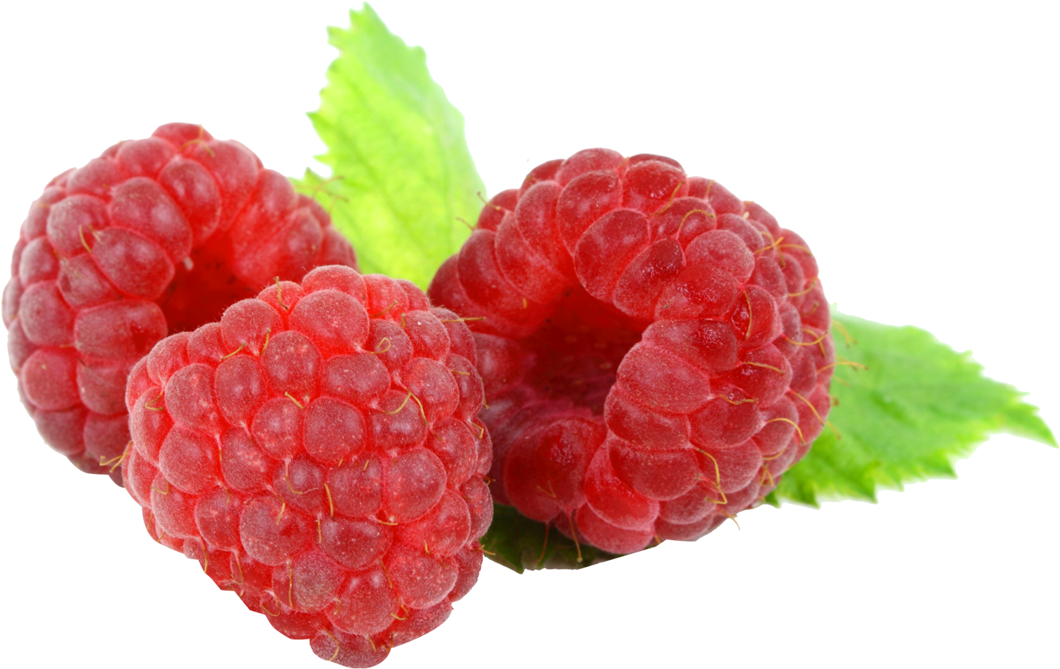 Raspberry Png (1616x1074), Png Download