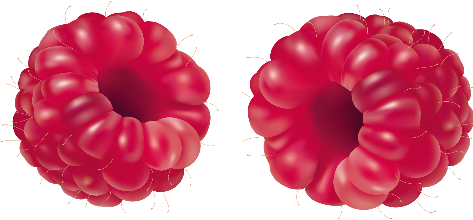 Raspberry Free Clipart Png (1618x751), Png Download