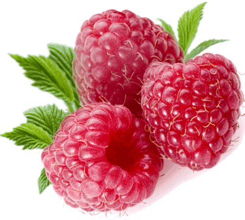 Rraspberry Png Image - Raspberries With Transparent Backgrounds (500x449), Png Download