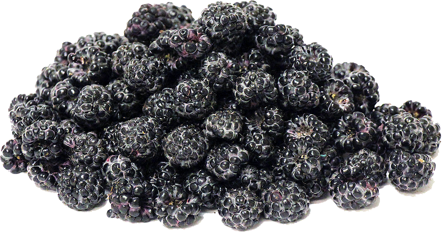 Black Raspberries Png Transparent Image - Silk Road Gunpowder (872x458), Png Download