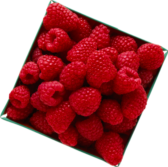 Framboises Png, Tube Fruit - Red Raspberry (575x570), Png Download