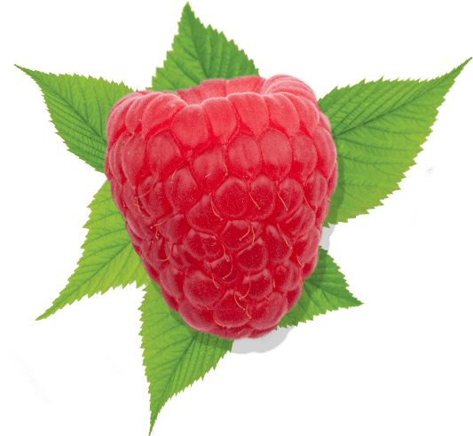 Raspberry Raspberry - Raspberry (562x525), Png Download