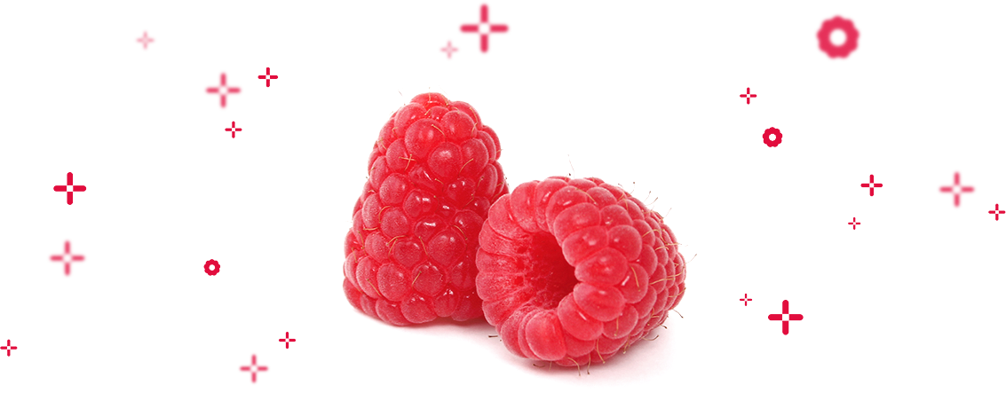 Our Entire Philosophy Has A Sole And Fundamental Objective - Frutti Di Bosco (1133x452), Png Download