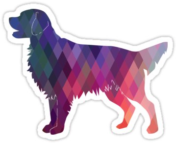 Flat-coated Retriever And Golden Retriever Geometric - Flat Coated Retriever Outlines (375x360), Png Download