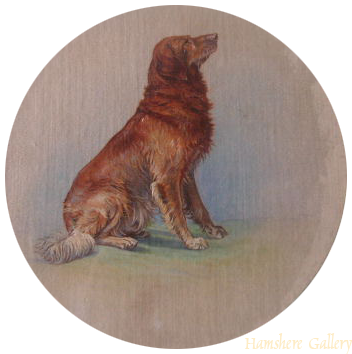 Click To See Full Size - Golden Retriever (352x354), Png Download