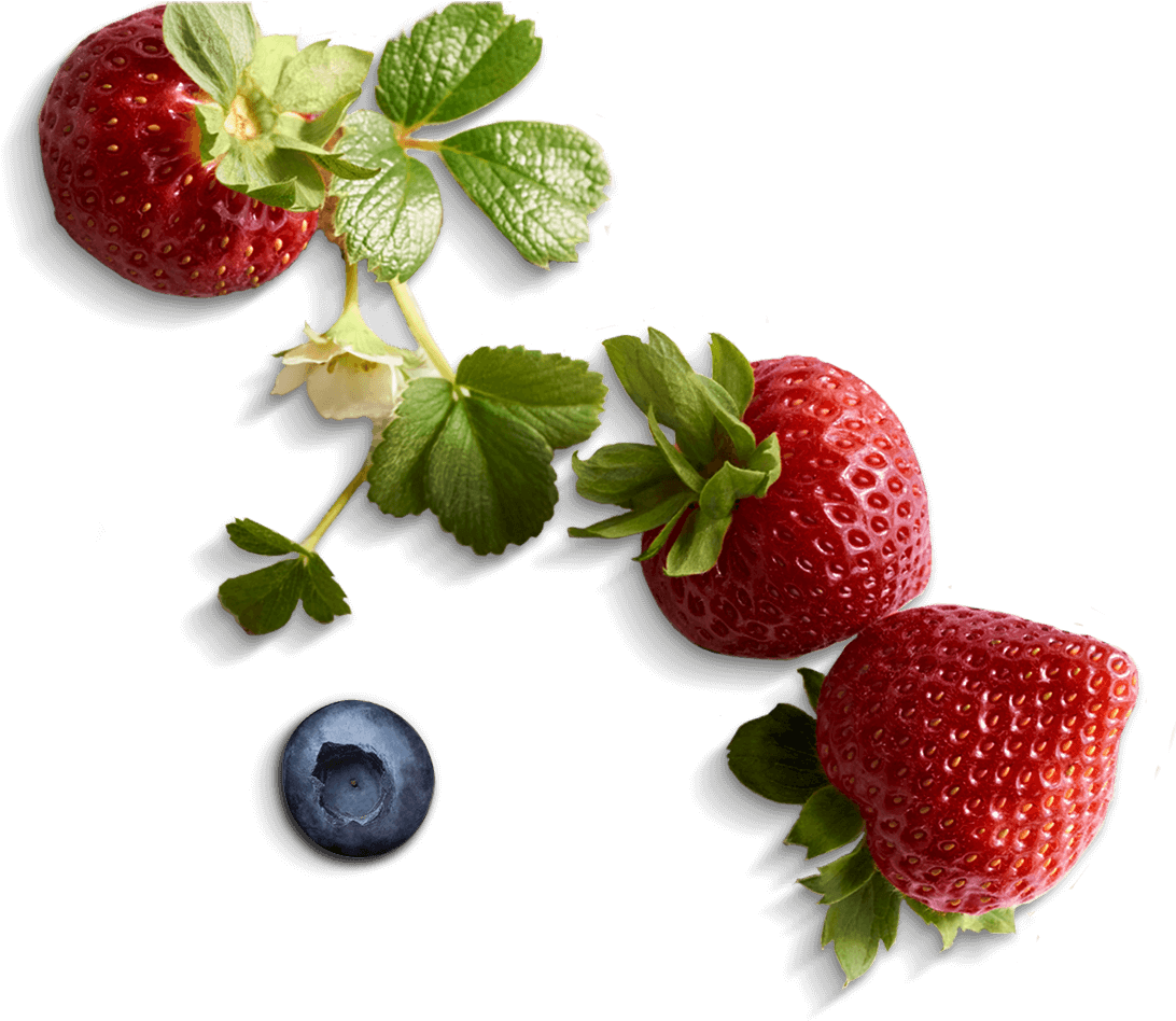 Go To Image - Food (1097x955), Png Download