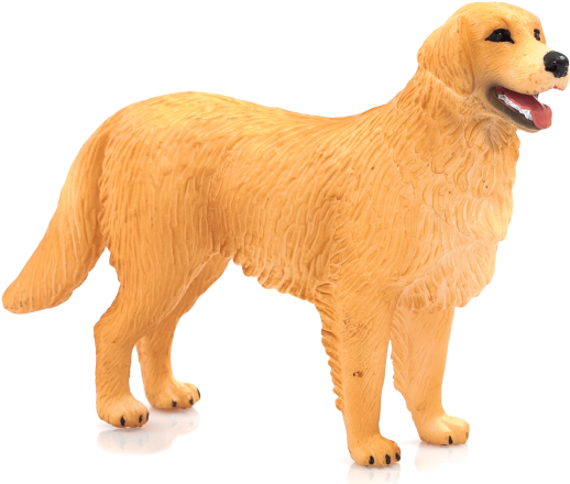 Farmland - Animal Planet: Golden Retriever (540x449), Png Download