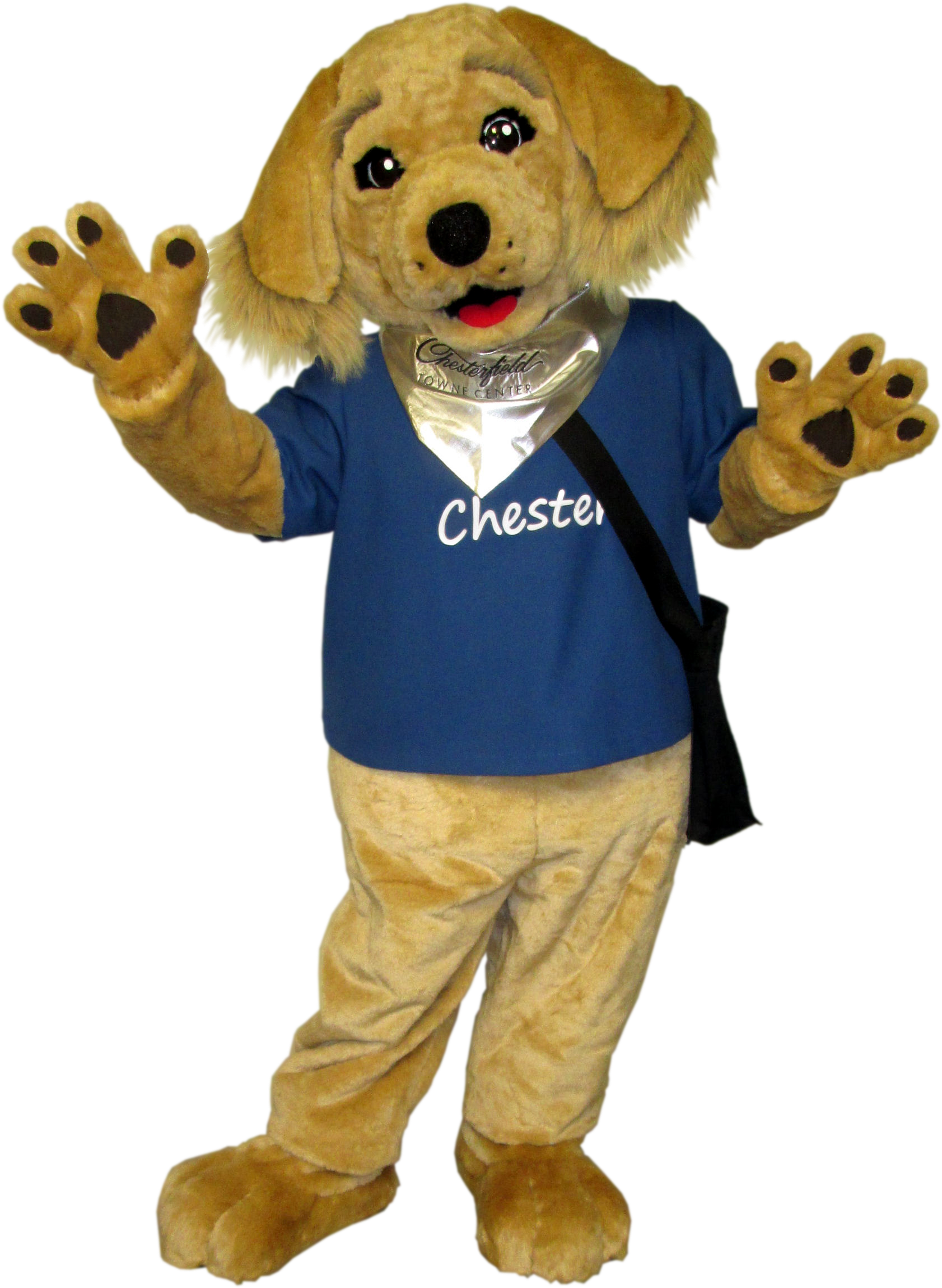 Macerich -chester The Golden Retriever - Golden Retriever (1883x2483), Png Download