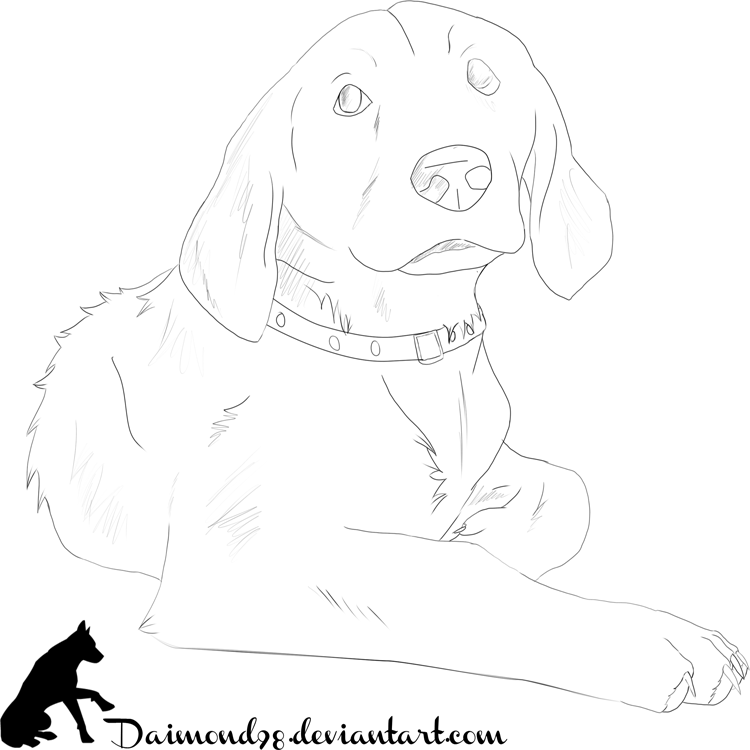 Drawn Golden Retriever Simple - Sketch (750x750), Png Download