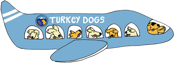 Joining Adopt A Golden Atlanta, Grrr Is Excited To - Turkey Golden Retrievers (750x273), Png Download