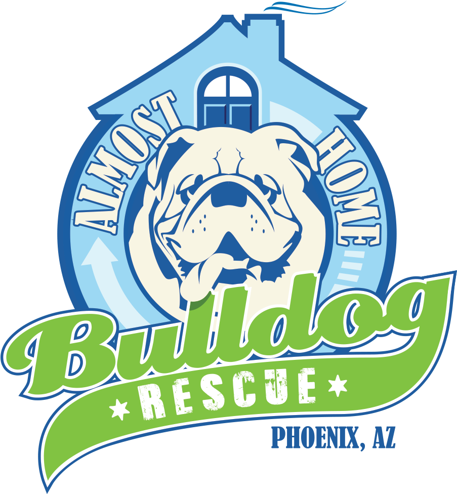 Almost Home Bulldog Rescue - Bulldog (912x986), Png Download