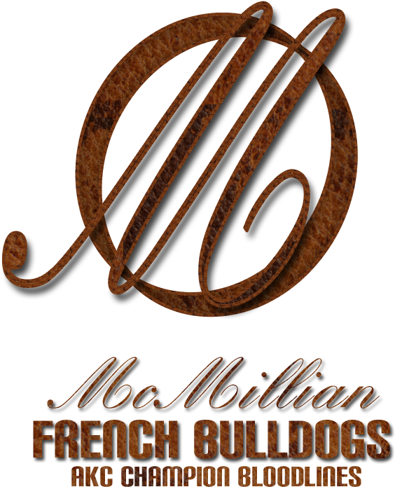Calligraphy (750x720), Png Download