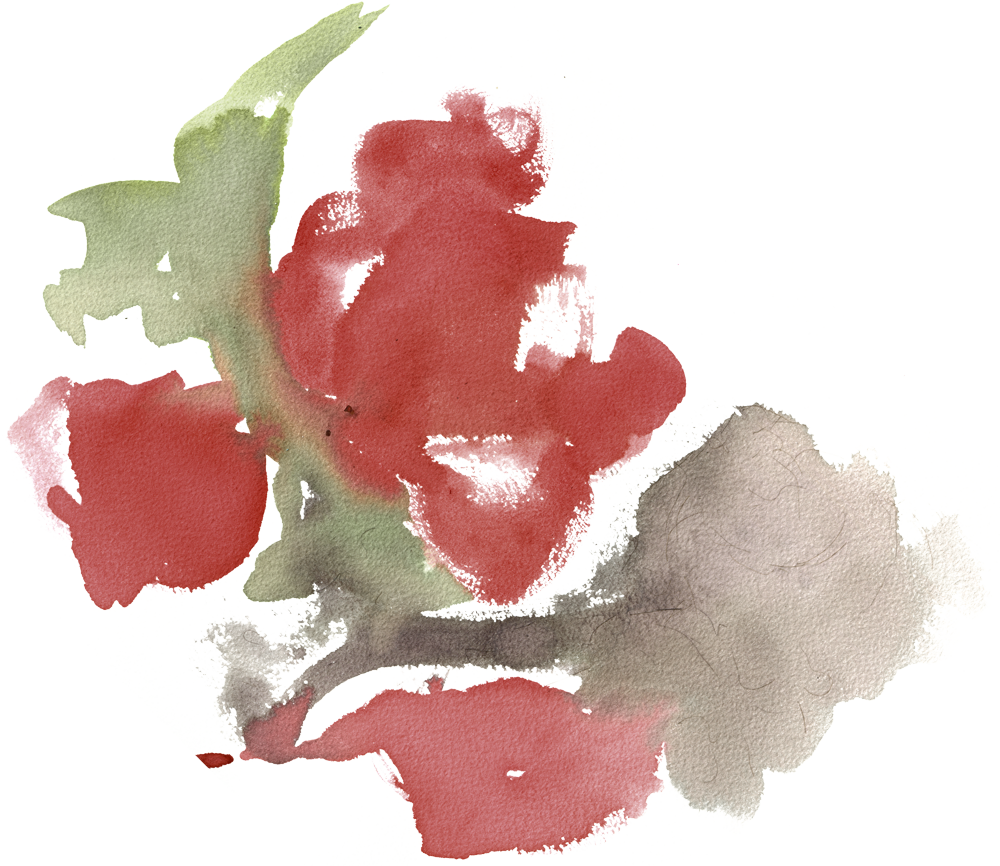 Rose2 Edit2-transparent - Portable Network Graphics (1000x866), Png Download