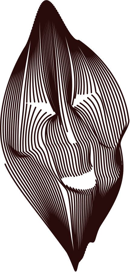 Laughing Lines - Clip Art (256x535), Png Download