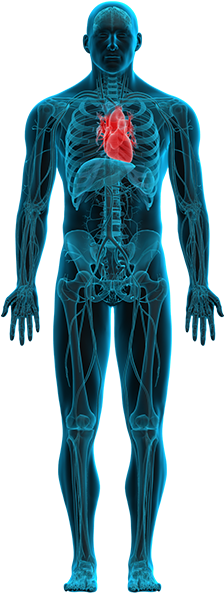 Click On These Options To Learn More About What's Going - Medical Radiography (232x644), Png Download