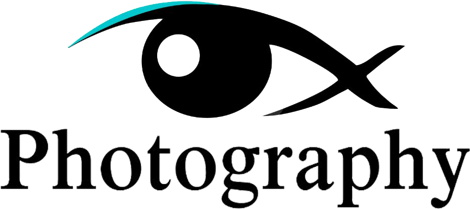 Visual X Pty Ltd Clip Library - Typography (1280x853), Png Download