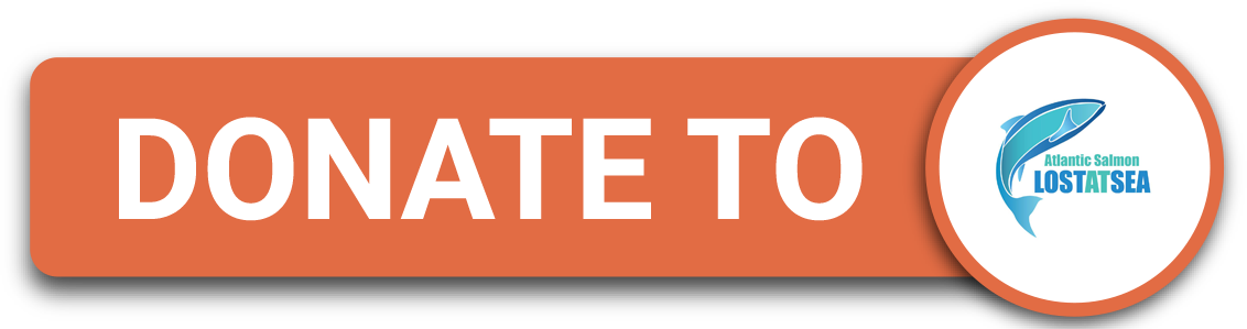Atlantic-salmon - Portable Network Graphics (1132x299), Png Download