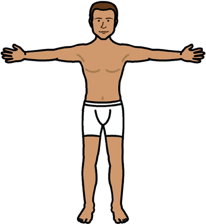 Book Traversal Links For Body - Search Engine (428x462), Png Download