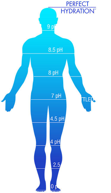 Drink Perfect Water - Water In Human Body Png (443x722), Png Download