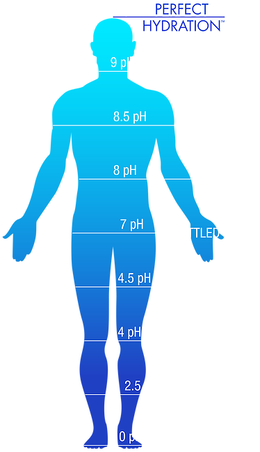 Download Drink Perfect Water Water In Human Body Png Png Image With No Background Pngkey Com