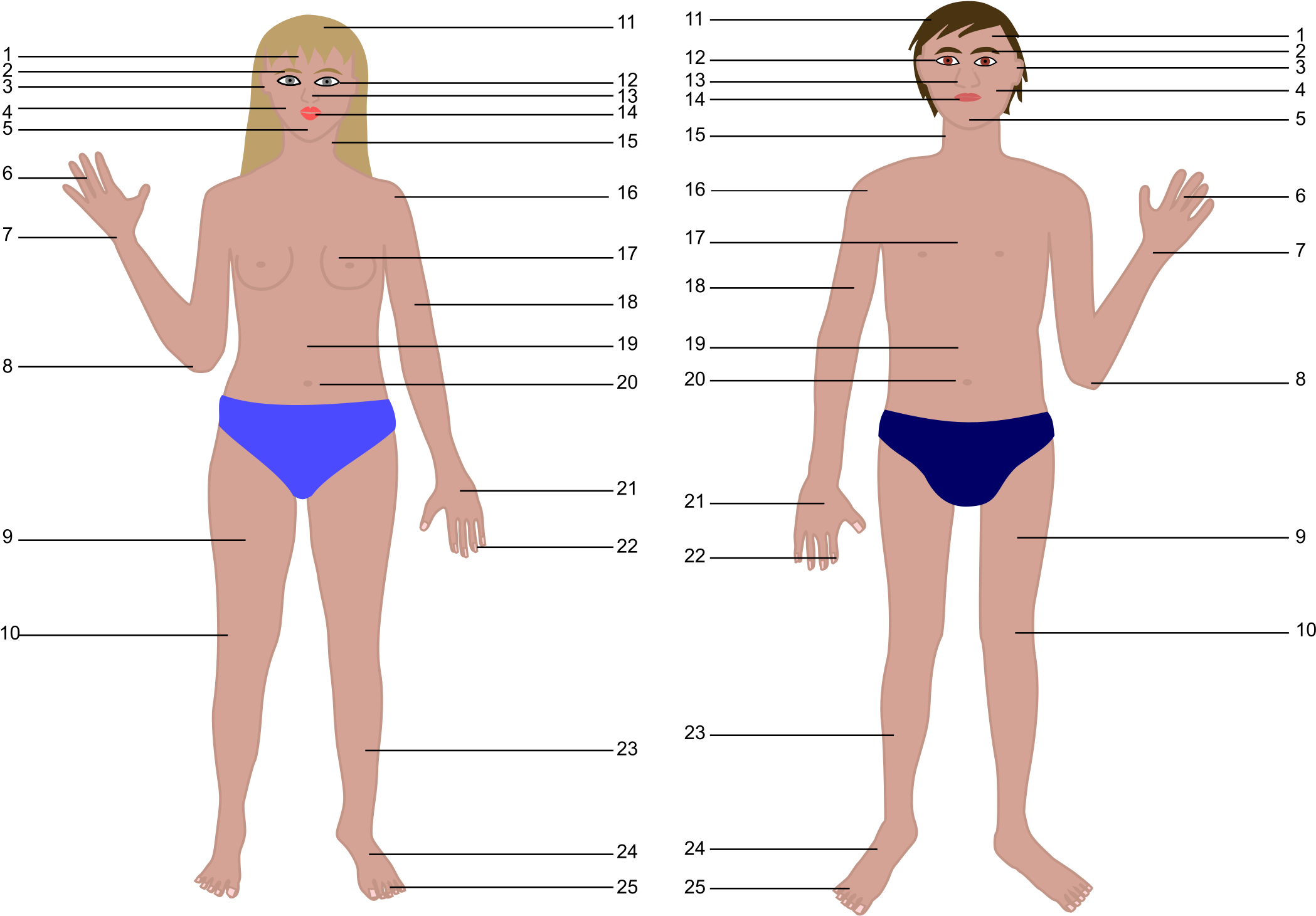 Big Image - Human Body Cartoon (2400x1523), Png Download