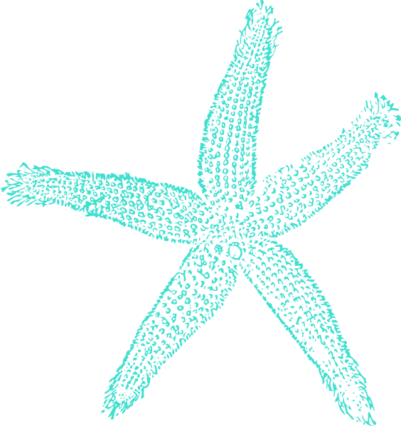 Png Source - Starfish Png (564x599), Png Download