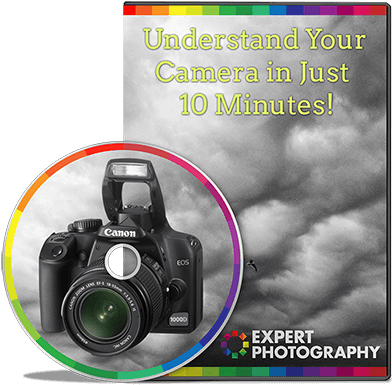Do You Want To Understand Your Frustrating Camera And - Camera Colour Photography Logo (411x400), Png Download