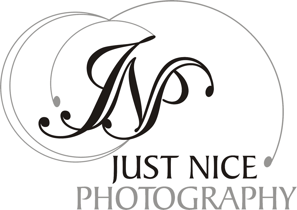 White Horse Deluxe Coach (1024x724), Png Download