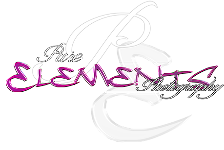 Northglenn Denver Photographers - Pure Elements Photography (800x450), Png Download