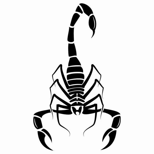 Scorpio Png Image Background - Scorpions Tail Vector (650x650), Png Download