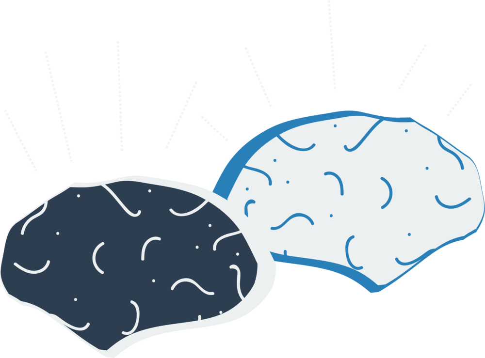 Brains - Illustration (1000x739), Png Download