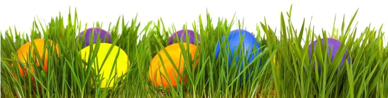 Eggs Transparent Image Arts - Easter Eggs In Grass Png (763x225), Png Download