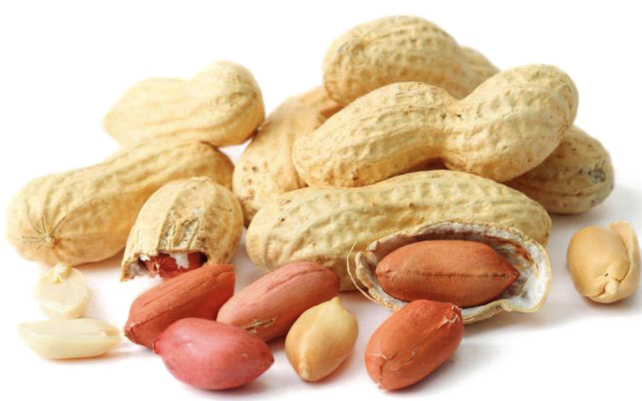 Peanut Png Image - Groundnut Png (1286x860), Png Download