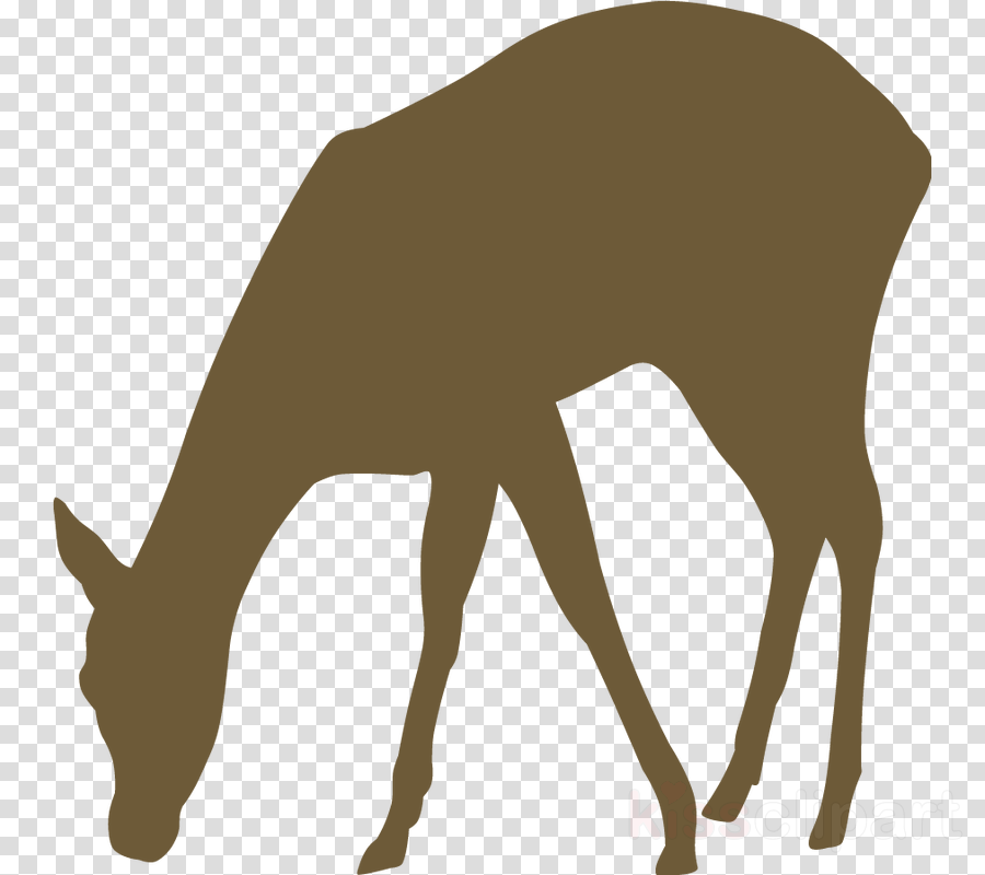 Doe Png (900x800), Png Download